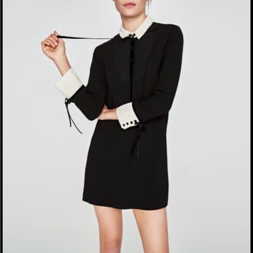 Zara Size small  Dress with White Collar and Cuff Detail